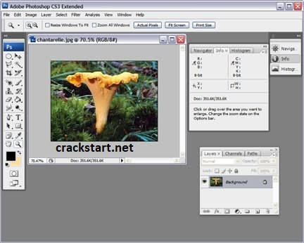 Adobe Photoshop CS3 Crack Serial Number 2022 Full Download