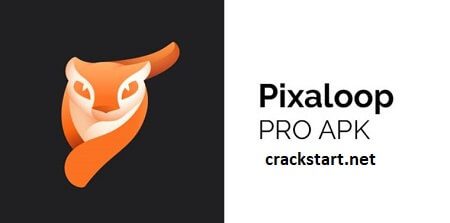 Download Pixaloop Pro Apk Full Version Latest Download
